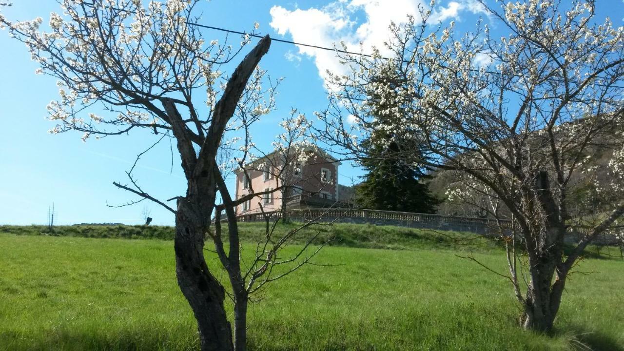 La Villa Du Collet La Penne Luaran gambar
